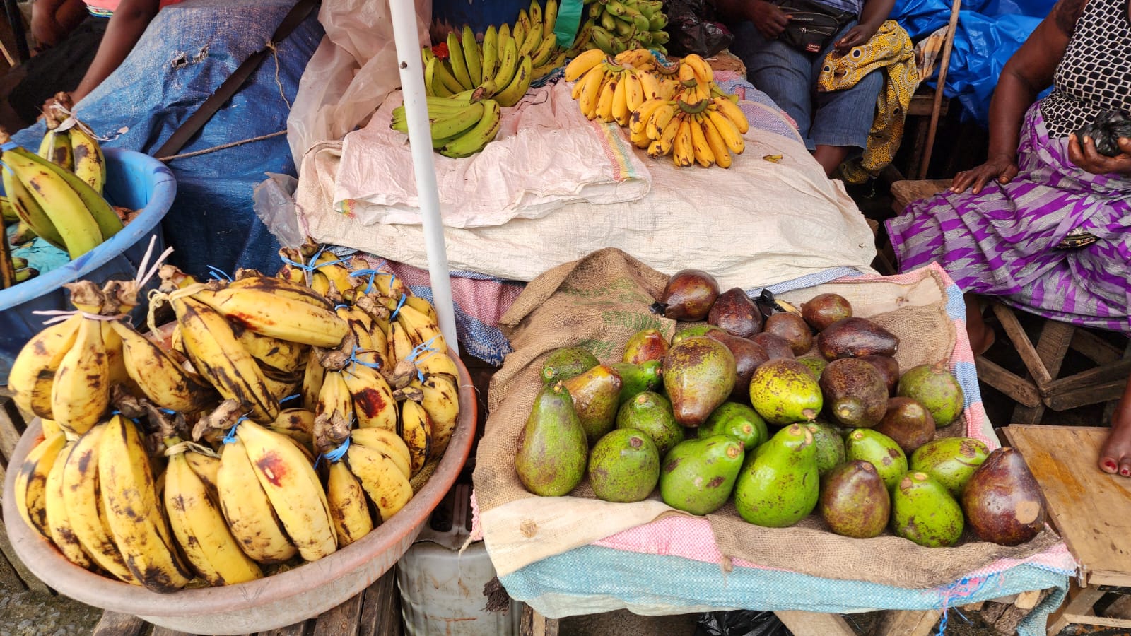 Produce & Crop Bundles